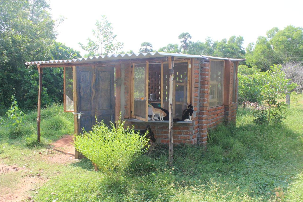 Ferienwohnung Beyond Community Auroville Exterior foto